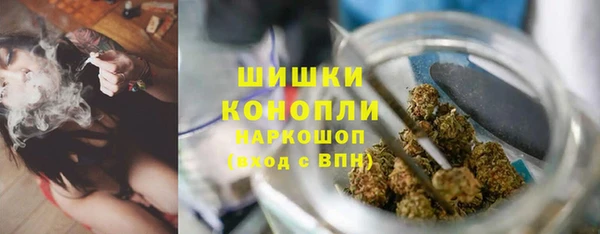 прущие грибы Карпинск