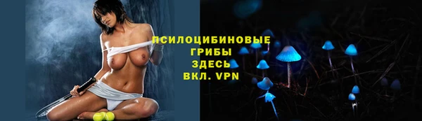 крисы Киренск