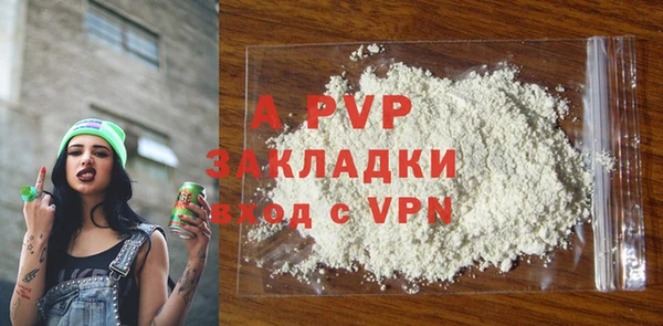 стаф Кинешма