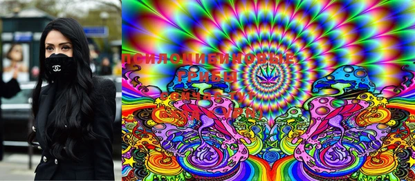 стаф Кинешма
