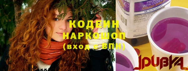 стаф Кинешма